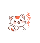 博多弁のねこさん（個別スタンプ：3）