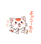 博多弁のねこさん（個別スタンプ：16）