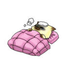 ニャンコの日常会話スタンプ（個別スタンプ：38）