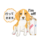 ビーグル犬の台湾さんぽ（個別スタンプ：1）