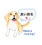 ビーグル犬の台湾さんぽ（個別スタンプ：4）