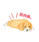 ビーグル犬の台湾さんぽ（個別スタンプ：16）