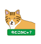 ひょうきんなトラ猫（個別スタンプ：30）