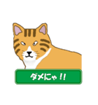 ひょうきんなトラ猫（個別スタンプ：32）