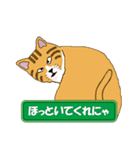 ひょうきんなトラ猫（個別スタンプ：33）