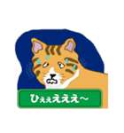 ひょうきんなトラ猫（個別スタンプ：38）