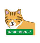 ひょうきんなトラ猫（個別スタンプ：40）