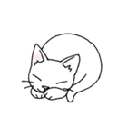 まろるん（個別スタンプ：19）