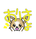 チワワ 犬スタンプ（個別スタンプ：4）