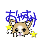 チワワ 犬スタンプ（個別スタンプ：5）