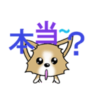 チワワ 犬スタンプ（個別スタンプ：22）