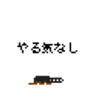 ピクワガタ（個別スタンプ：12）