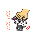 プースタ☆(チワワのプーちゃん)（個別スタンプ：5）