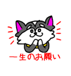 プースタ☆(チワワのプーちゃん)（個別スタンプ：25）