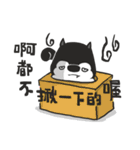 仲良しハスキー君（個別スタンプ：1）