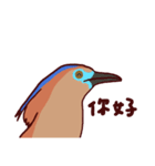 Big Bird (Gorsachius melanolophus)（個別スタンプ：2）