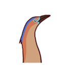 Big Bird (Gorsachius melanolophus)（個別スタンプ：3）