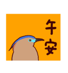 Big Bird (Gorsachius melanolophus)（個別スタンプ：14）