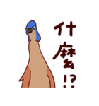 Big Bird (Gorsachius melanolophus)（個別スタンプ：17）