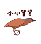 Big Bird (Gorsachius melanolophus)（個別スタンプ：19）