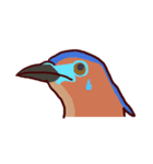 Big Bird (Gorsachius melanolophus)（個別スタンプ：21）