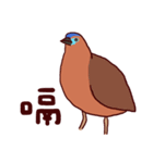 Big Bird (Gorsachius melanolophus)（個別スタンプ：24）