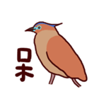Big Bird (Gorsachius melanolophus)（個別スタンプ：29）