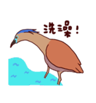 Big Bird (Gorsachius melanolophus)（個別スタンプ：33）