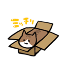 うちのねこすたんぷ（個別スタンプ：35）