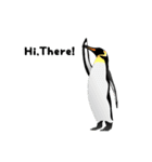 Penguins Life（個別スタンプ：3）