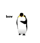 Penguins Life（個別スタンプ：4）