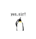 Penguins Life（個別スタンプ：14）