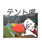 山登り大好きねこ（個別スタンプ：30）