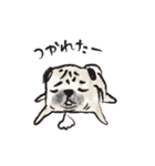 PUGさん...（個別スタンプ：15）