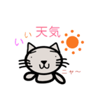 にゃんこのメッセージ（個別スタンプ：1）