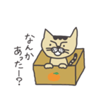 トラねこさん（個別スタンプ：20）