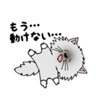 ボク、お断りねこのクック（個別スタンプ：3）