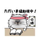 ボク、お断りねこのクック（個別スタンプ：7）