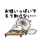 ボク、お断りねこのクック（個別スタンプ：17）