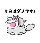 ボク、お断りねこのクック（個別スタンプ：19）