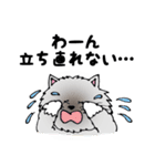 ボク、お断りねこのクック（個別スタンプ：28）