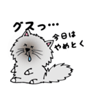 ボク、お断りねこのクック（個別スタンプ：34）