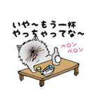 ボク、お断りねこのクック（個別スタンプ：36）