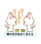 ニャンコあるある。（個別スタンプ：33）