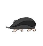 マウ助（個別スタンプ：11）
