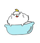 ねこのチヨ（個別スタンプ：8）