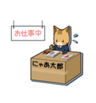 にゃあ太郎スタンプ －関西弁版ー（個別スタンプ：19）