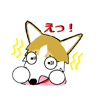 BOWWOW CORGIS！（個別スタンプ：5）