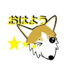 BOWWOW CORGIS！（個別スタンプ：6）