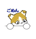 BOWWOW CORGIS！（個別スタンプ：9）